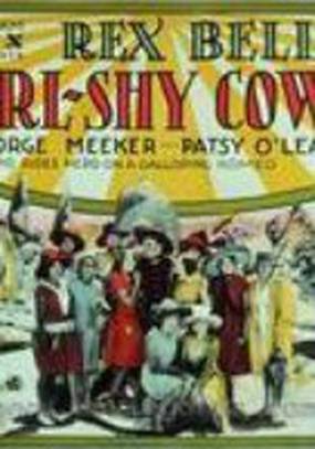 Girl-Shy Cowboy