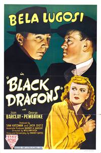 Постер Черные драконы