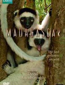 BBC: Мадагаскар (мини-сериал)