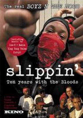 Slippin': Ten Years with the Bloods