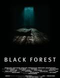 Постер из фильма "Темный лес" - 1