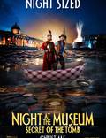 Постер из фильма "Ночь в музее: Секрет гробницы" - 1