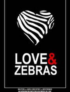 Love & Zebras