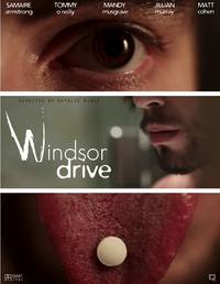 Постер Windsor Drive