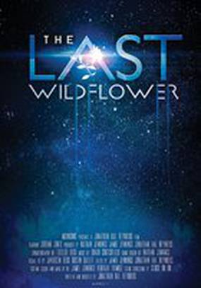 The Last Wildflower