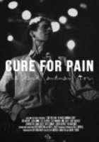 Cure for Pain: The Mark Sandman Story