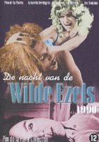 De nacht van de wilde ezels