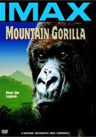 Mountain Gorilla