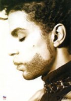 Prince: The Hits Collection (видео)