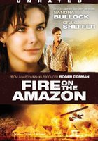 Амазонка в огне (видео)