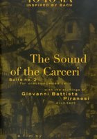 Bach Cello Suite #2: The Sound of Carceri