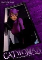 Catwoman: The Diamond Exchange