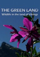 Гренландия: Дикая природа страны викингов