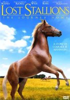 Lost Stallions: The Journey Home