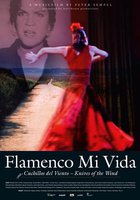 Flamenco mi vida - Knives of the wind