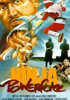 Ninja Powerforce