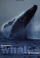 Rencontres avec les baleines du Saint-Laurent