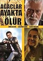 Agaçlar ayakta ölür