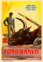 Toro bravo