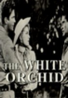 The White Orchid