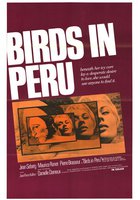 Птицы летят умирать в Перу