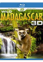 Wild Madagascar 3D