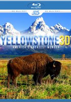 Yellowstone 3D