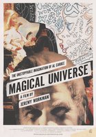 Magical Universe