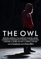 The Owl