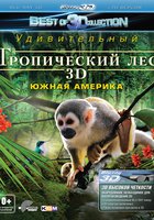 Тропический лес 3D (видео)