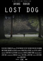 Lost Dog