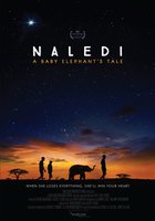 Naledi: A Baby Elephant's Tale