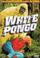 White Pongo